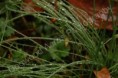 /album/photogallery/a007-3-watermarked-jpg/